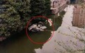 杭州姑娘开车沉入河,妈妈爬出车撕喊:救我女儿