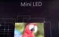 新款iPad Pro或将采用超高分辨率的mini-LED面板