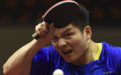 恭喜！樊振东4-2击败皮切福德，勇夺卡塔尔公开赛男单冠军