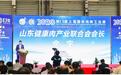 泛长三角肉类供应链创新联盟11日正式揭牌,龙大肉食董事长余宇当选首届联盟主席