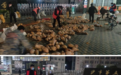荆州回应网传“垃圾处理站倾倒萝卜”视频：发生地不在荆州