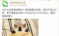 苹果要求所有APP适配iOS 13夜间模式:微信要被迫下架?