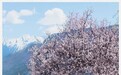 花朝节:百花生日恰逢惊蛰,朔风有意惜春光