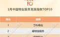 1月中国物业服务发展指数TOP10解读:下半年或迎并购潮