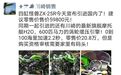 59800元,国内经销商曝川崎ZX-25R进入国内售价