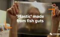 英女生用鱼肠肚研制出塑料替代品 | 绿会可持续前沿速递