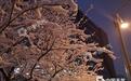 北京迎来2020首场雪 周一早高峰出行受影响