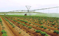 植医堂：推进绿色防控 助力互联网农业高质量发展