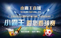 小霸王体育直播免费观看海量联赛高清直播无卡顿