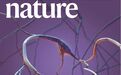 癌细胞“绑架”神经元帮自己壮大，科学家破译癌细胞分子机制