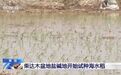 了不起！袁隆平团队在柴达木盆地盐碱地试种“海水稻”