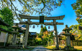 日本冷门景点推荐：京都新熊野神社，在日本人眼里万物都是神灵