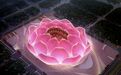 恒大120亿“荷花”球场引热议 中国迎来专业足球场时代