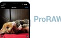 Instagram支持iPhone 12 Pro上传ProRAW照片:会转换为JPG格式