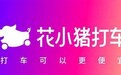 “花小猪”遭遇叫停危机:滴滴上线一个月,已被多地交管部门约谈