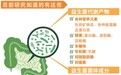 益生菌新时代篇章开启 益生菌4.0时代到来