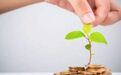 中国绿色金融之路:金融业全面助力碳中和,行业规模居世界前列