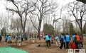 全民义务植树开展40周年 中国成为全球森林资源增长最多的国家