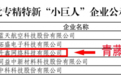 国家级!青藤荣登专精特新“小巨人”企业名单