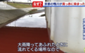 河流突然变“血河” 日本警方紧急出动