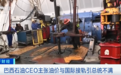 公司CEO被巴西总统解职,引发市场巨震!股价暴跌21%,820亿元灰飞烟灭