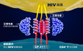 前沿生物:持续推动艾滋病创新药物研发