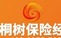 正式上线 ! 梧桐树保险经纪联合中国人寿财产保险定制保险产品"超级飞侠住院保"