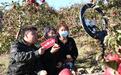 在“一眼望三国”的珲春,这群“新农人”为孟岭苹果拼出新天地