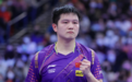 4-1!樊振东拒绝大逆转,世界第一击溃3位国乒队友,将与黑马争冠