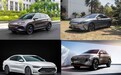 盘点下半年上市的国产新能源车,比亚迪独占3款,新势力表现抢眼