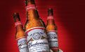37年赞助终止!啤酒巨头百威为何「退赛」超级碗?