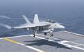 美海军发生“A级”事故:1架FA-18战机疑似撞鸟迫降