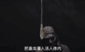 为什么我劝你“不要靠近云南人”