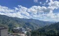 冰岛古茶树村寨搬迁遇堵:16户村民不愿搬,翻建房被定违建