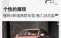 售价7.29万元起 哪吒V新增魔力/魔女版两款车型