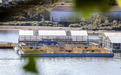 三年前身陷囹圄的鲸 现在怎么样了?