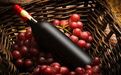 英国发布2020精品葡萄酒全球TOP100 意大利成新宠