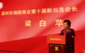 深圳市湖南商会第十届会员大会第一次会议召开