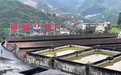 茅渊酒厂:书写百年传承的新篇章,延续匠心品质的新旧激荡