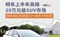 明年上半年亮相 曝奇瑞全新旗舰SUV瑞虎9申报图