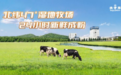 中国医师节,太子乐“医”起为人民健康而奋斗