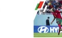 葡萄牙官方：达尼洛-佩雷拉肋骨折，将缺席小组赛