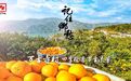 今晚CCTV-4首播《万古寺村:四季橙香 万古流芳》