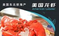 黄沙水产线上商城重磅上新美国龙虾