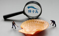 “扇贝逃跑”的獐子岛易主,国资成第一大股东,公司市值一月涨6亿