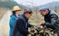 富强村遭遇果园管护资金周转难题 度小满“小满助力计划”雪中送炭
