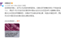 亚足联官方:中国女足vs印度女足取消 印度退赛
