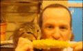 玉米被真菌感染,竟成了网红“黑松露”