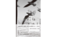 《我将前往的远方》:单身初老,我现在很好