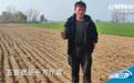 山东曹县一农户被迫犁掉十万斤菜,当地回应